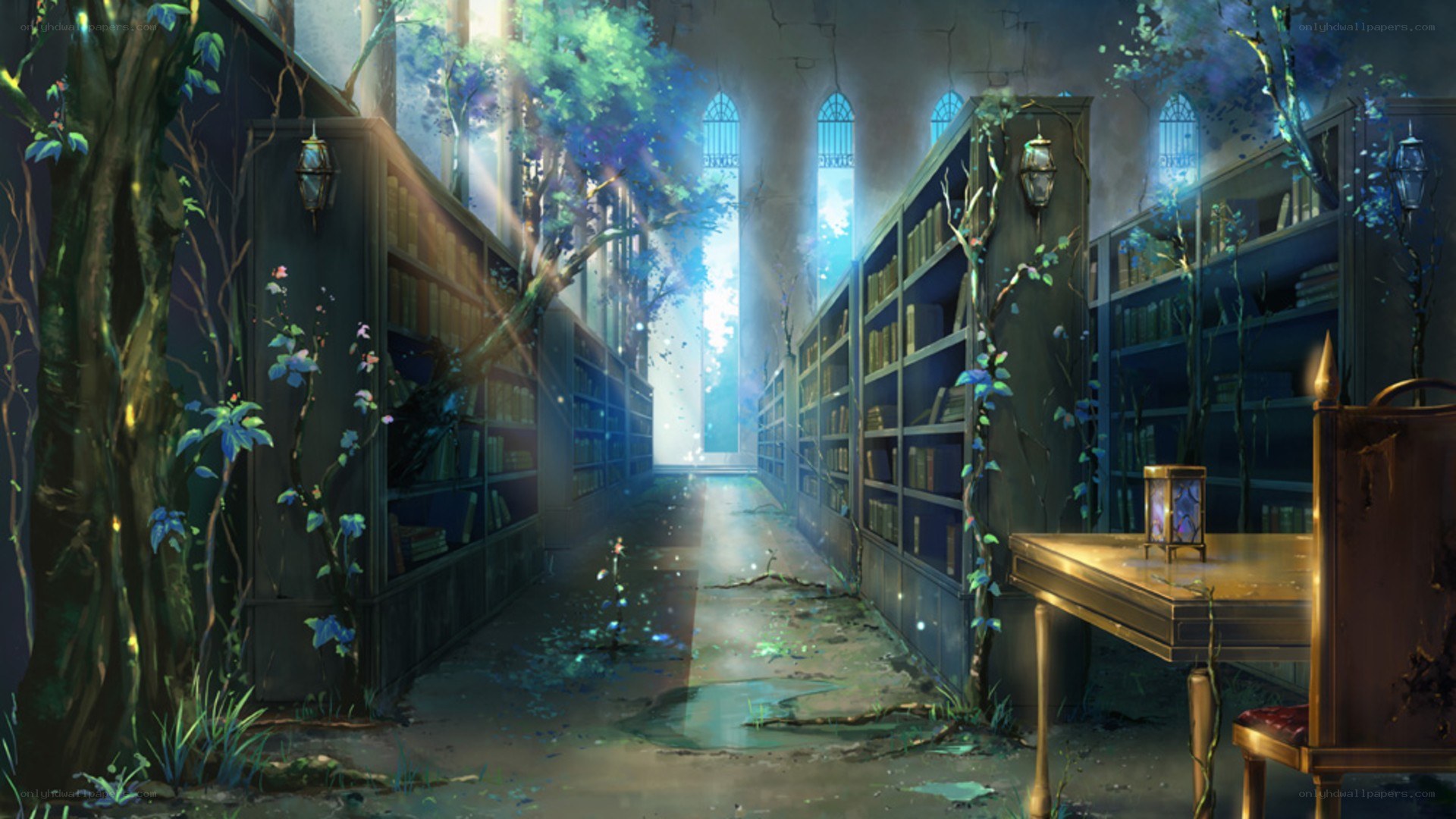 abandoned library with overgrown trees