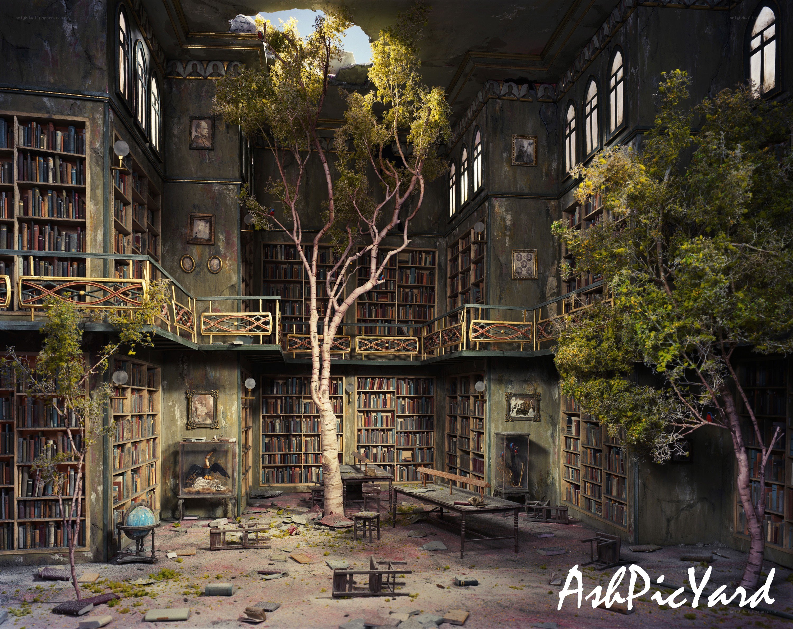 Abandoned library with trees
