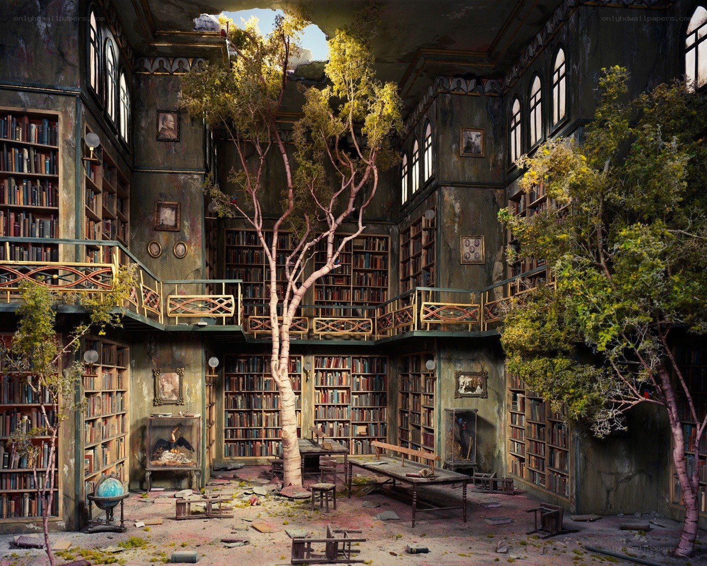 Abandoned library with trees