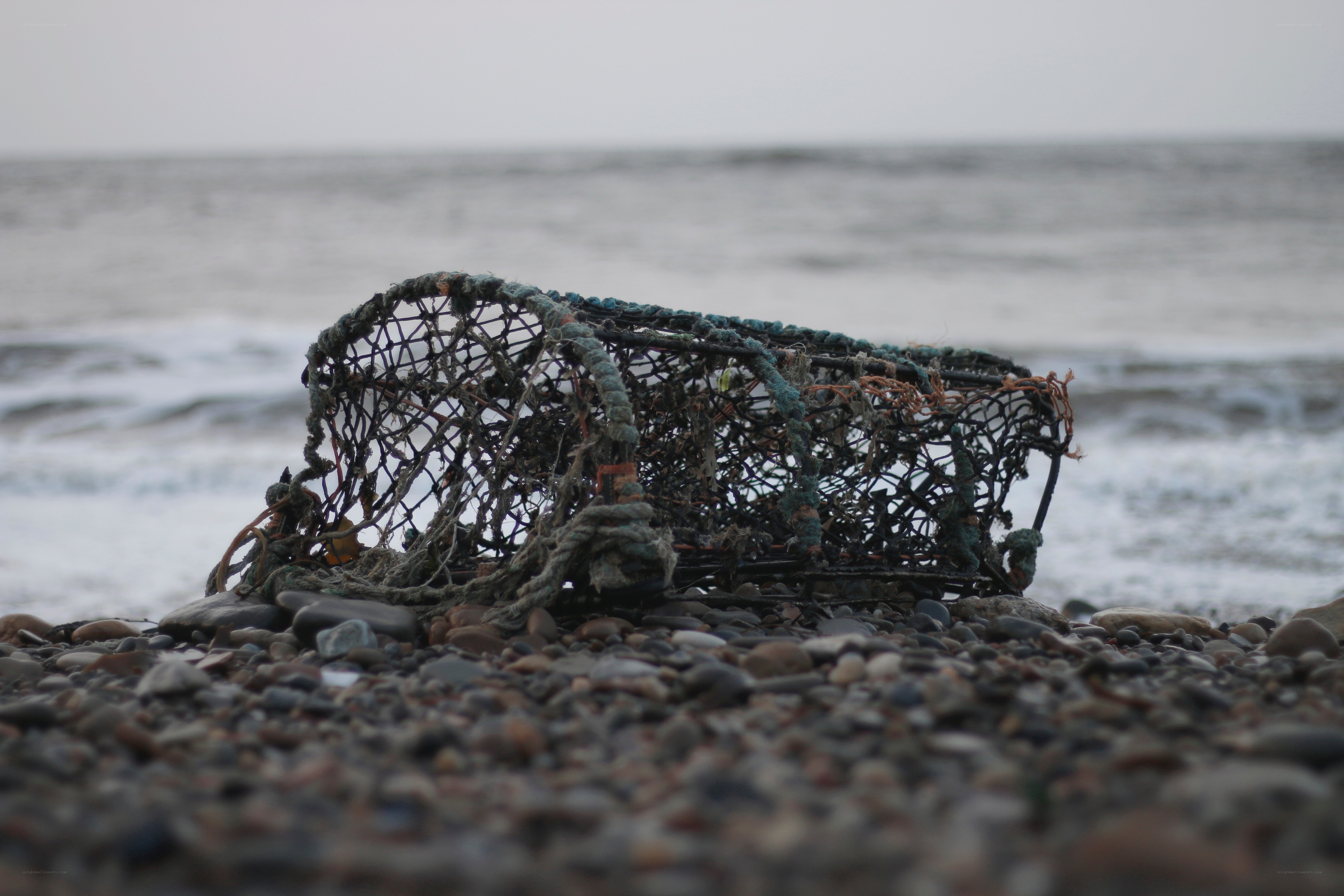 Abandoned lobster trap on beach