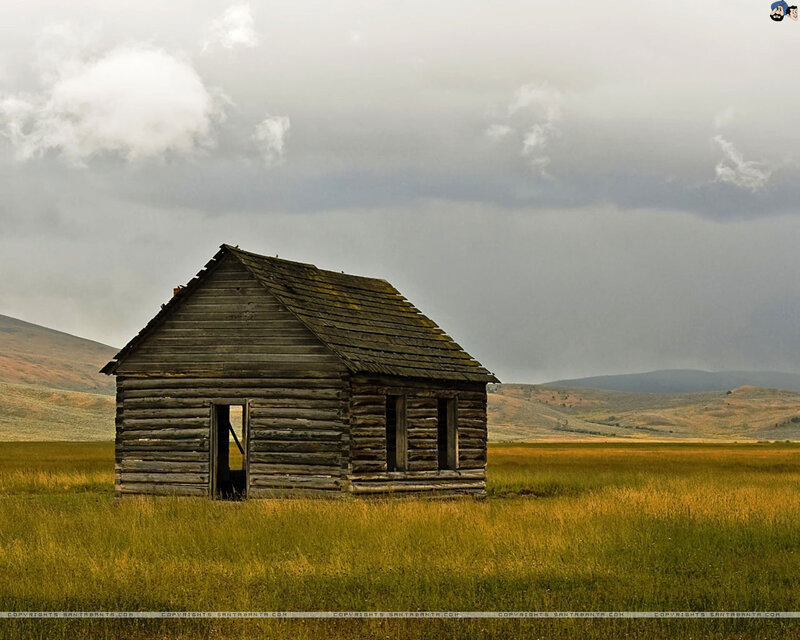 Abandoned Log Cabin — Green, Dramatic