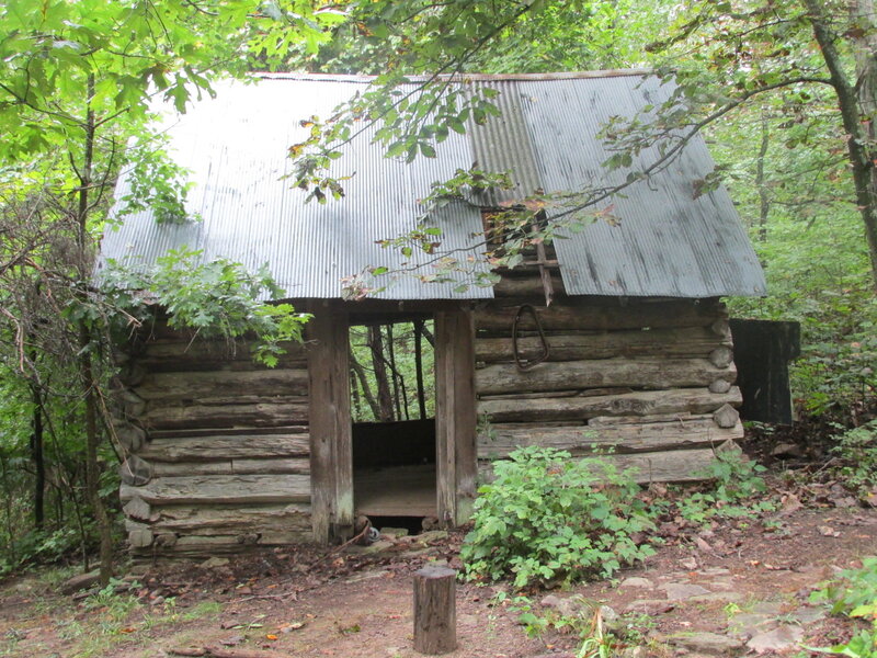 Abandoned Log Cabin — Green, Overgrown