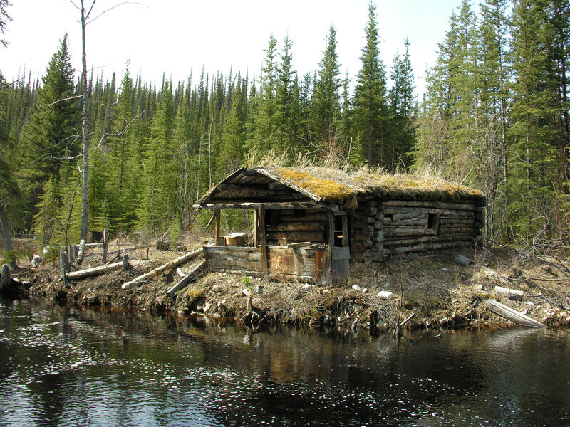 Abandoned Log Cabin — Green, Serene