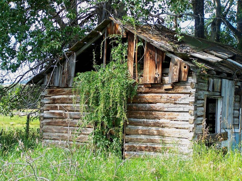 Abandoned Log Cabin — Green