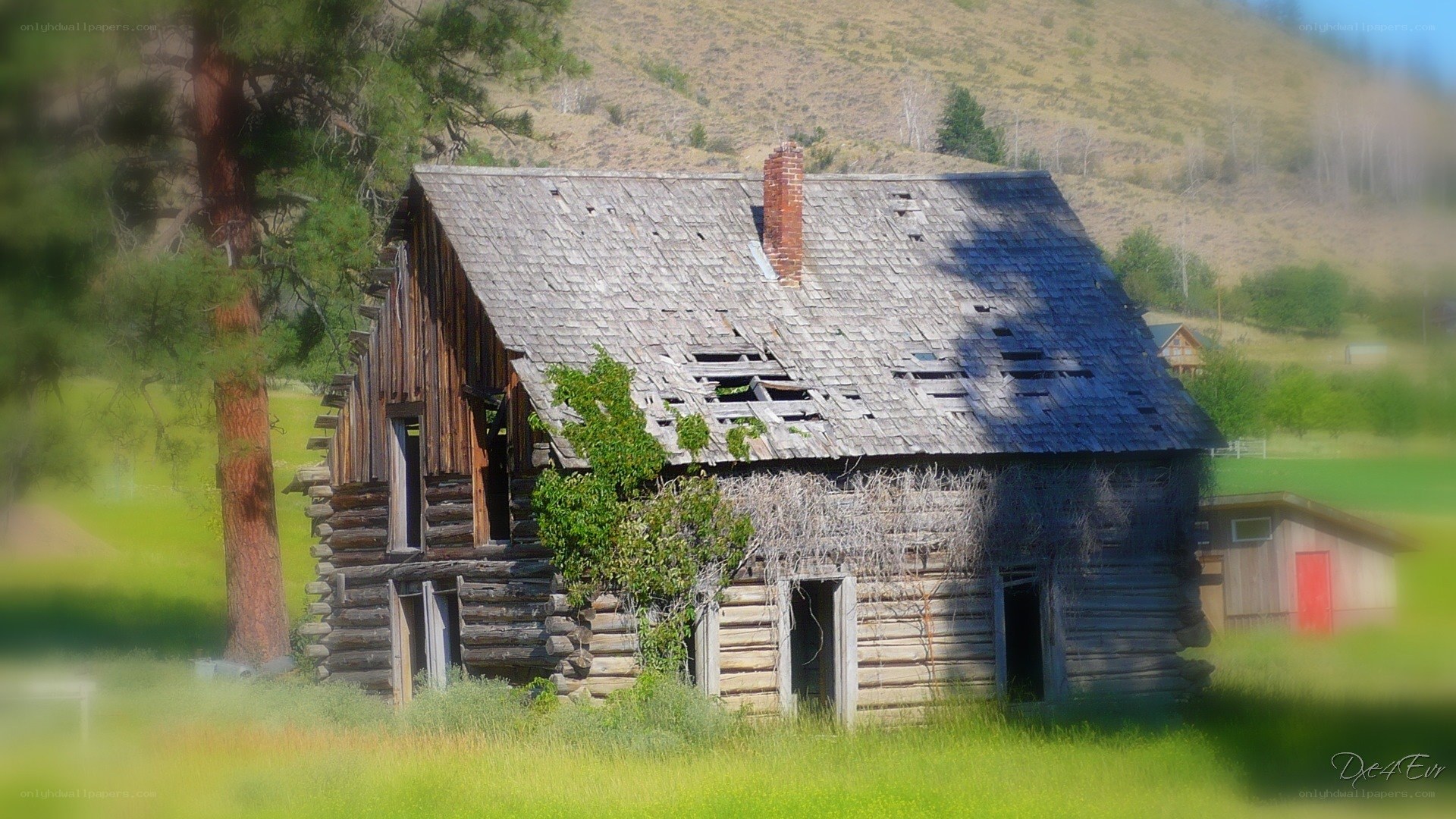 abandoned log cabin in a field