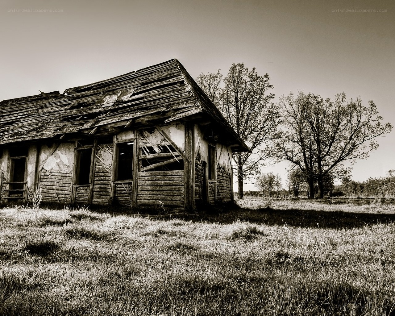 Abandoned log cabin in field