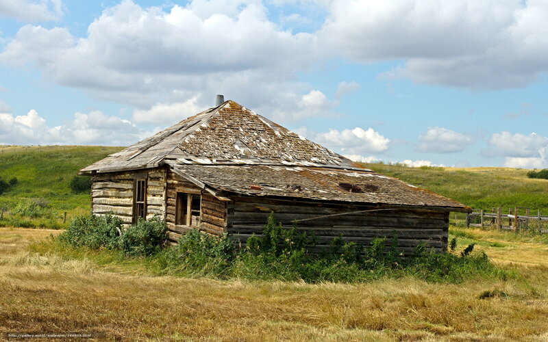 Abandoned log cabin in field