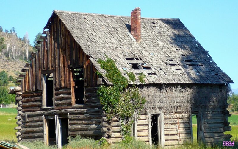 abandoned log cabin