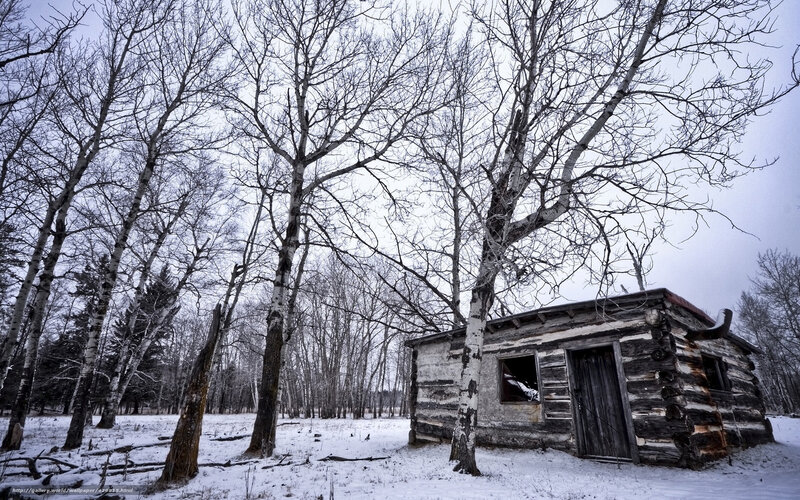 Abandoned Log Cabin — White, Desolate, Winter