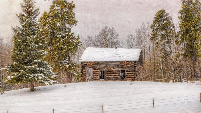 Abandoned Log Cabin — White, Serene