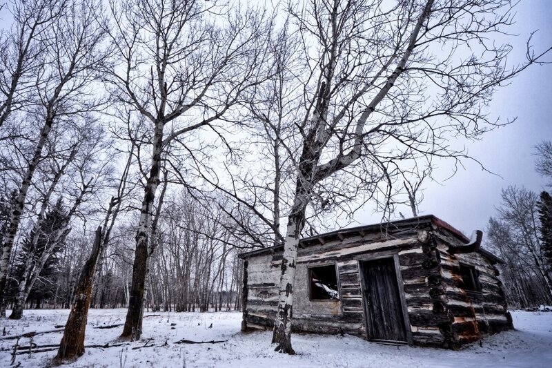 Abandoned Log Cabin — White