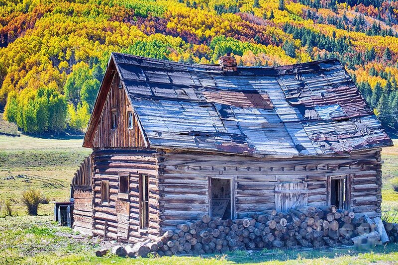Abandoned Log Cabin — Yellow