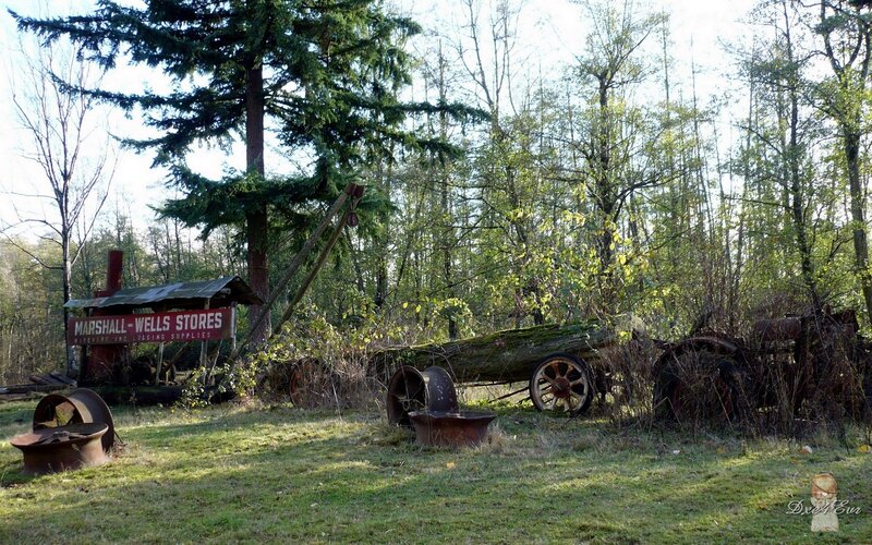 Abandoned logging equipment in forest