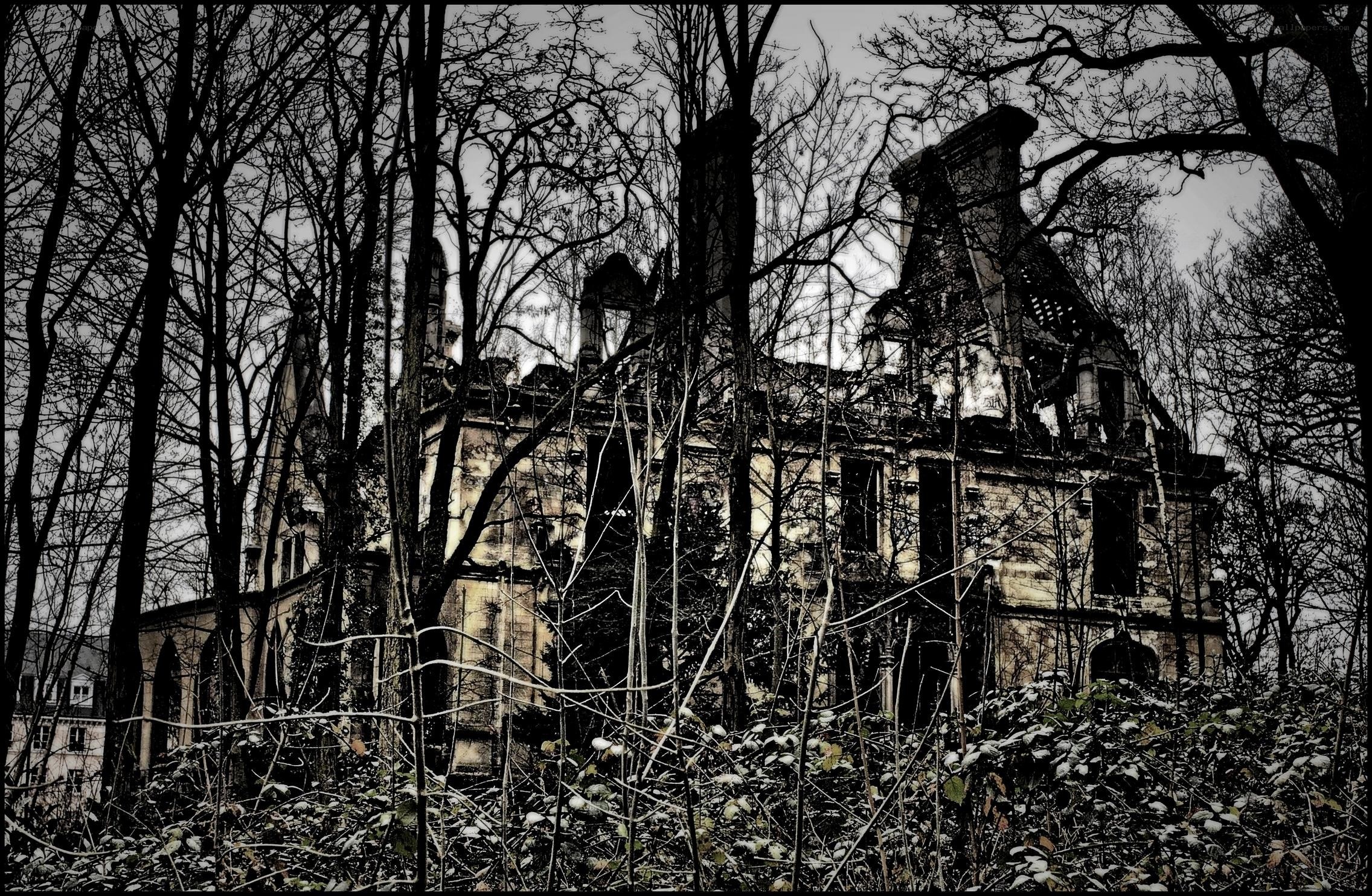 Abandoned mansion in forest