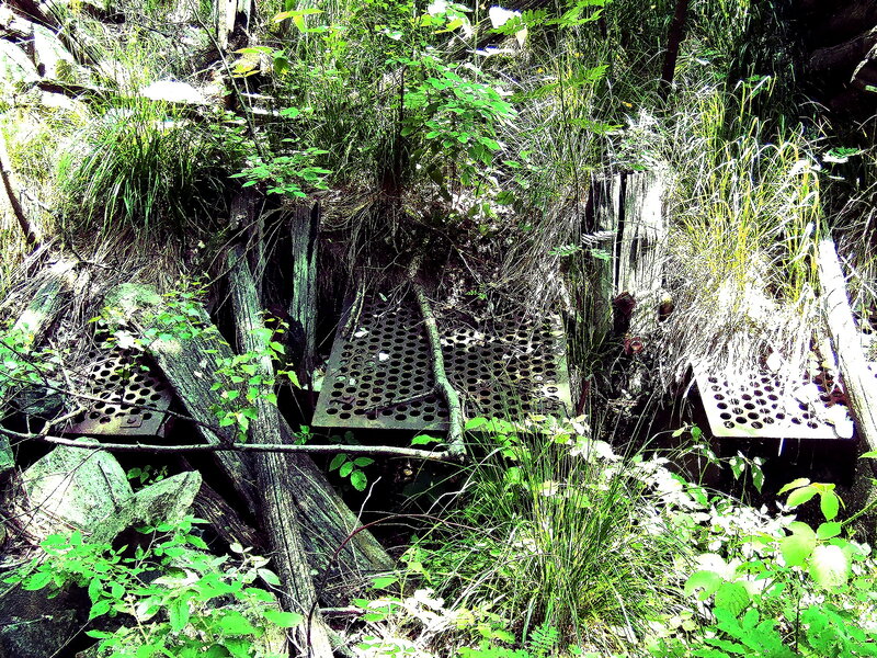 Abandoned Metal Grates