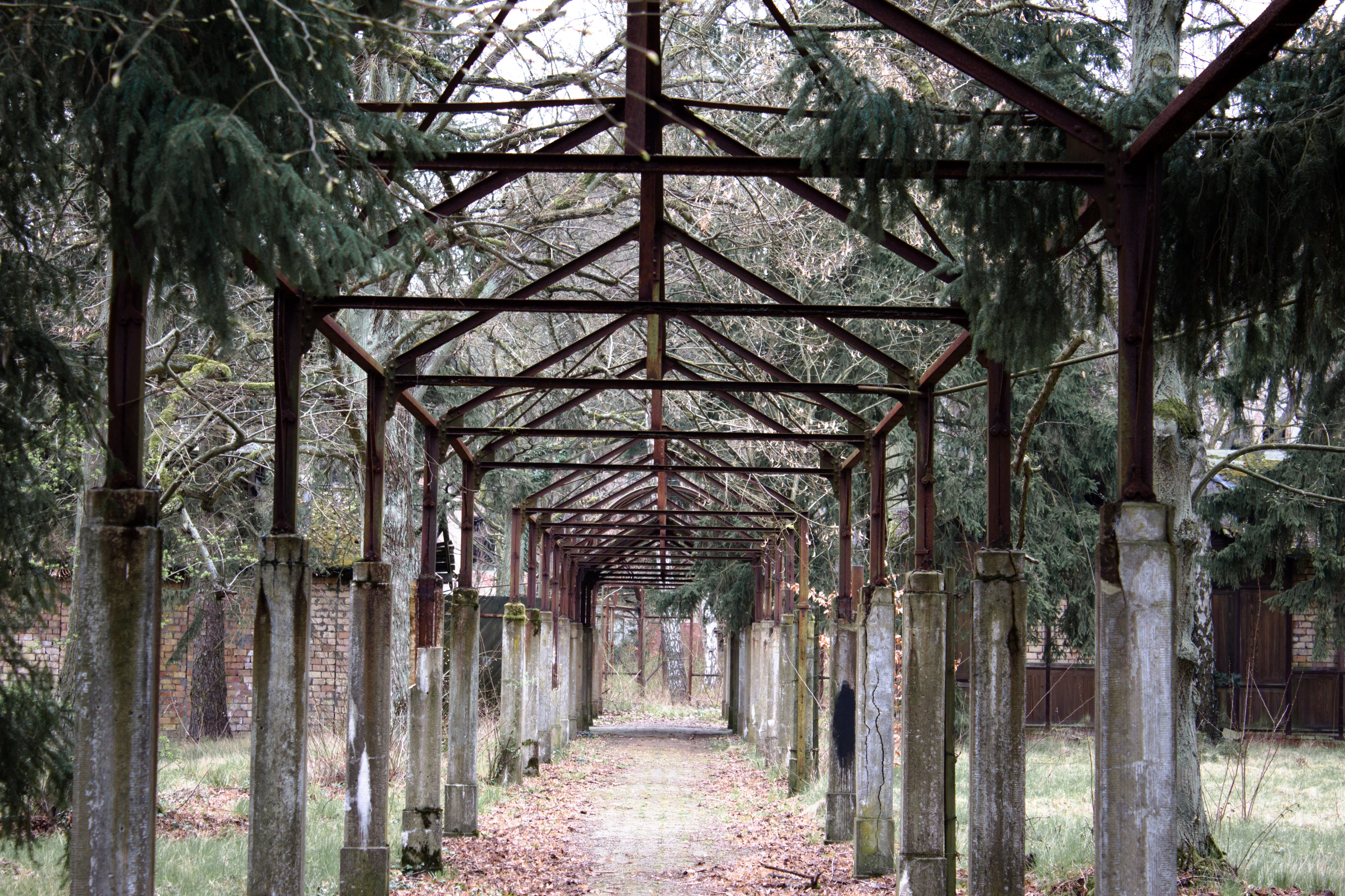 Abandoned metal structure corridor