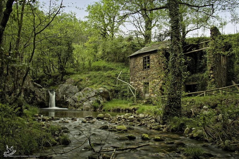 Abandoned Mill by River — Green, Serene