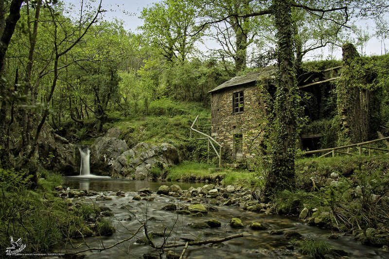 Abandoned Mill by River — Green