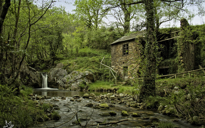 Abandoned Mill by Stream — Green