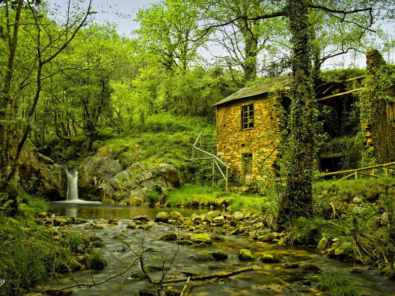 Abandoned Mill by Stream
