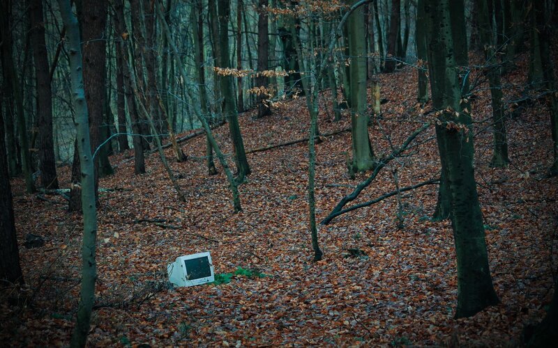 Abandoned monitor in forest