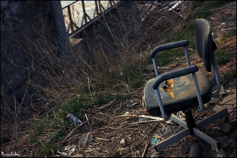 Abandoned office chair in overgrown area