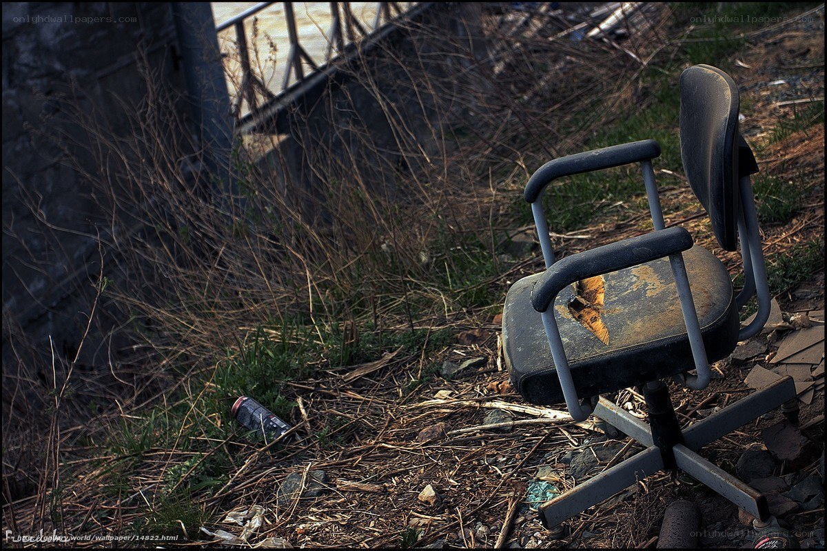 Abandoned office chair in overgrown area