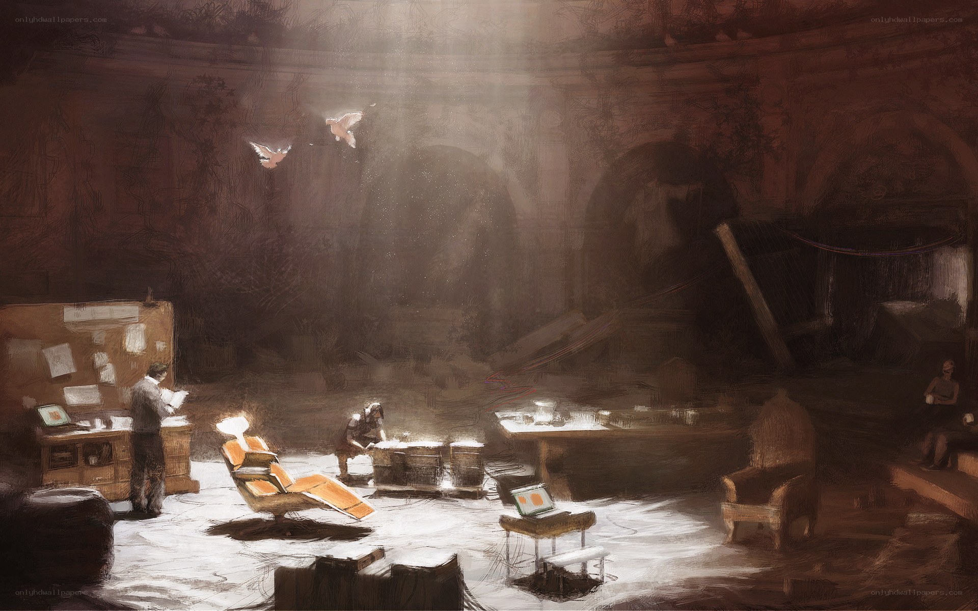 Abandoned office with birds