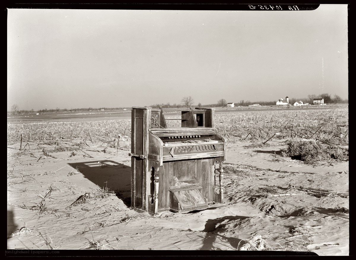 Abandoned organ in a field