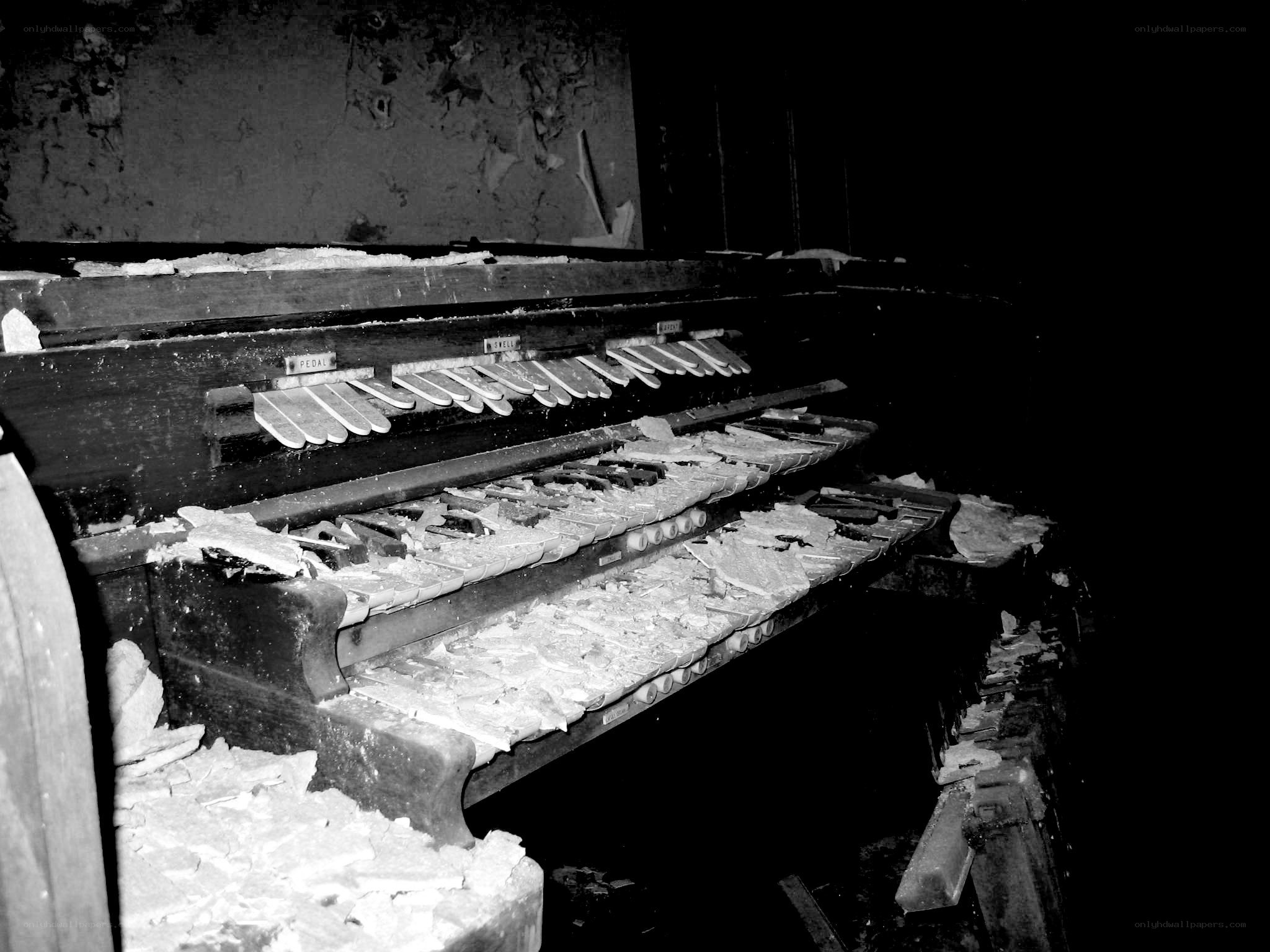 Abandoned organ in decay