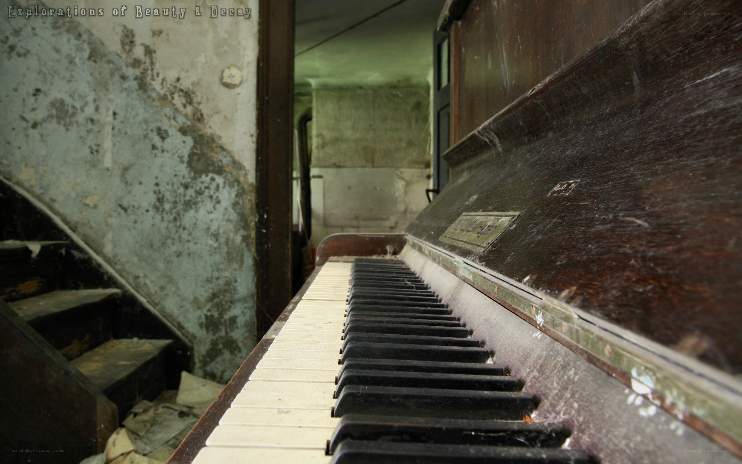 abandoned piano in decay