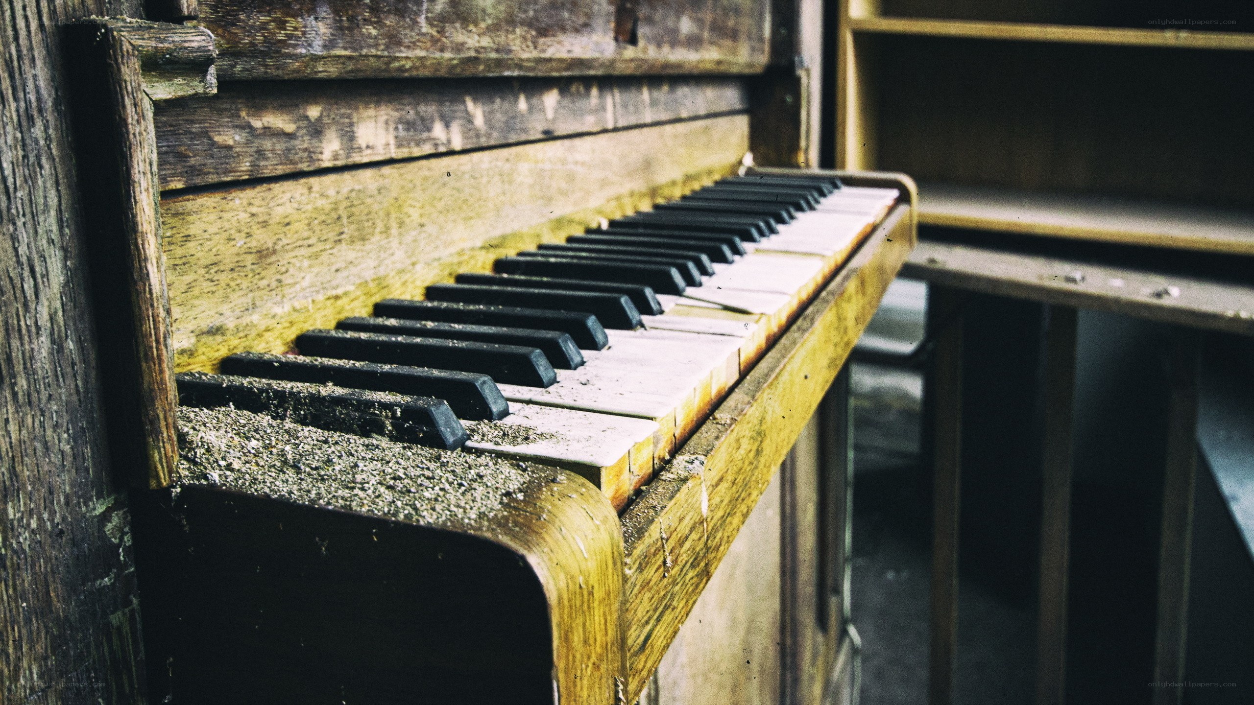abandoned piano in decay