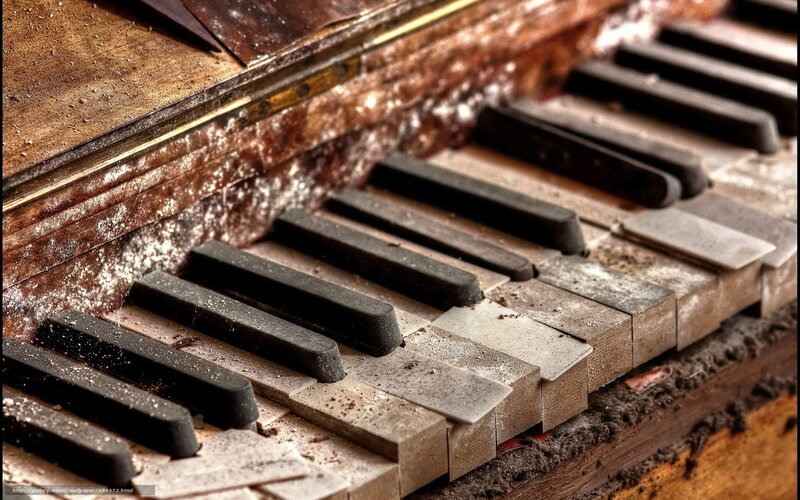 Abandoned Piano Keys — Brown, Decayed