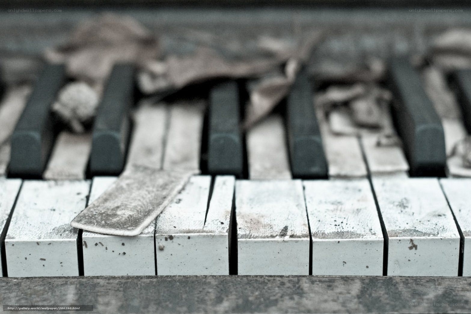 abandoned piano keys