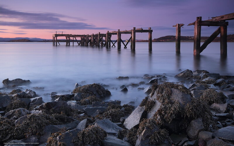 Abandoned Pier at Dusk — Purple