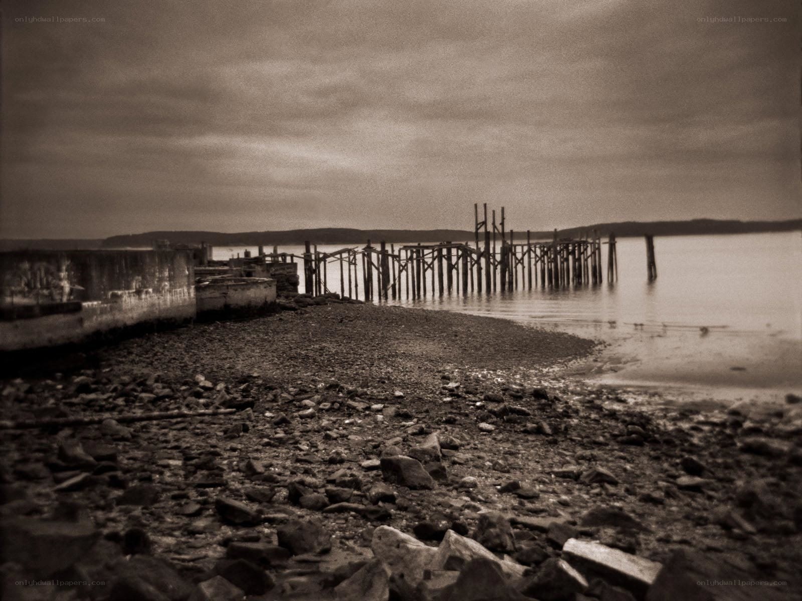 abandoned pier at low tide