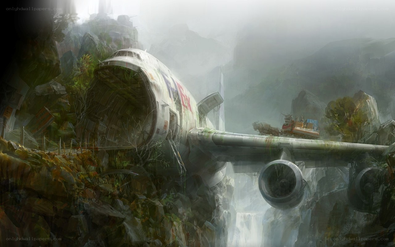 abandoned plane in jungle