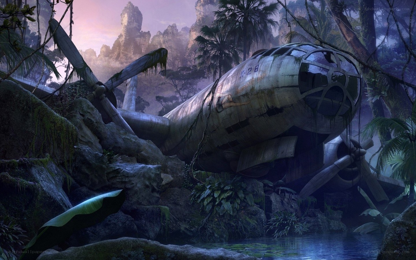 Abandoned plane in jungle