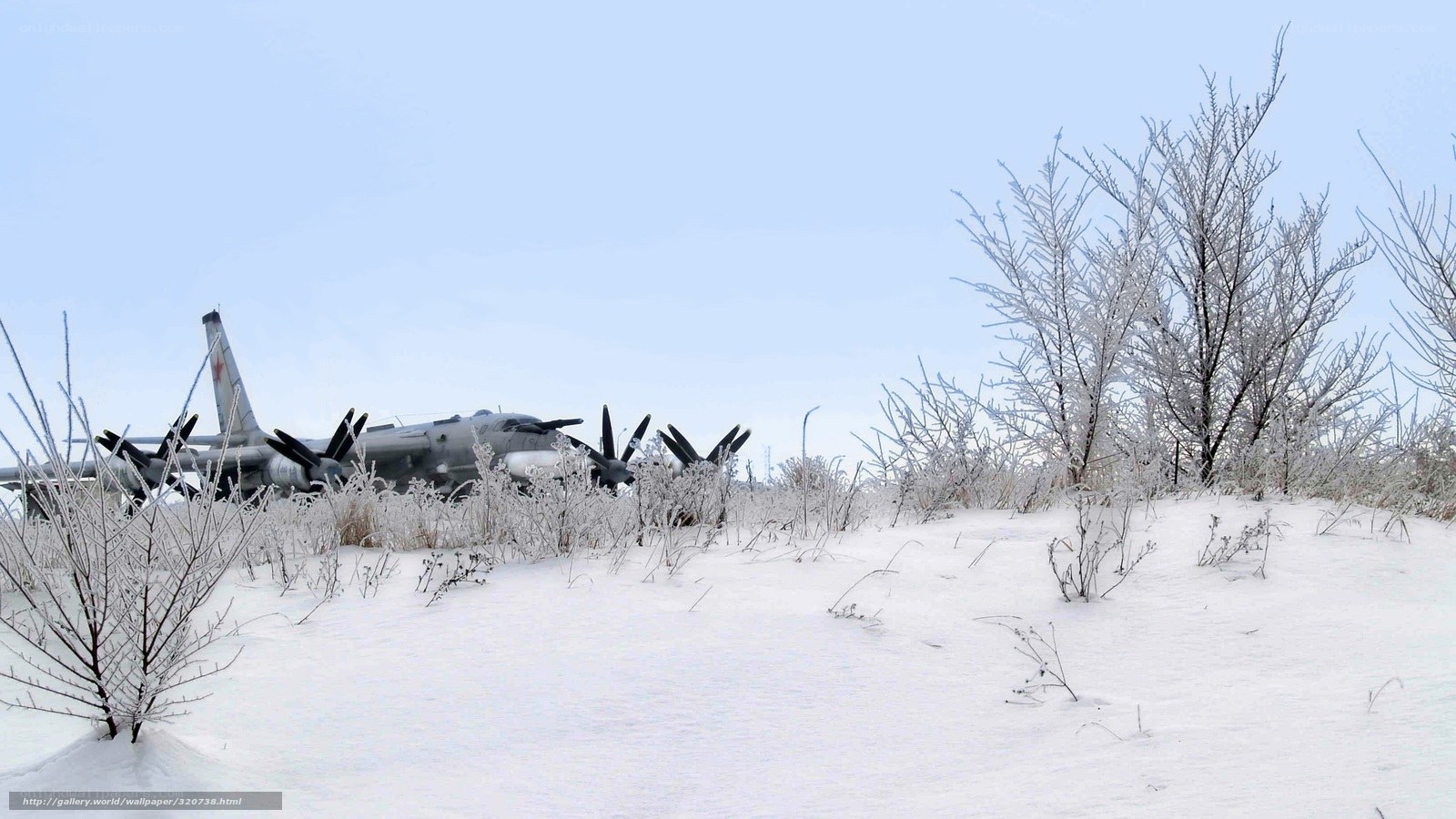 Abandoned plane in snowy field