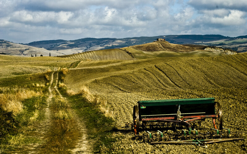 Abandoned Plow in Field