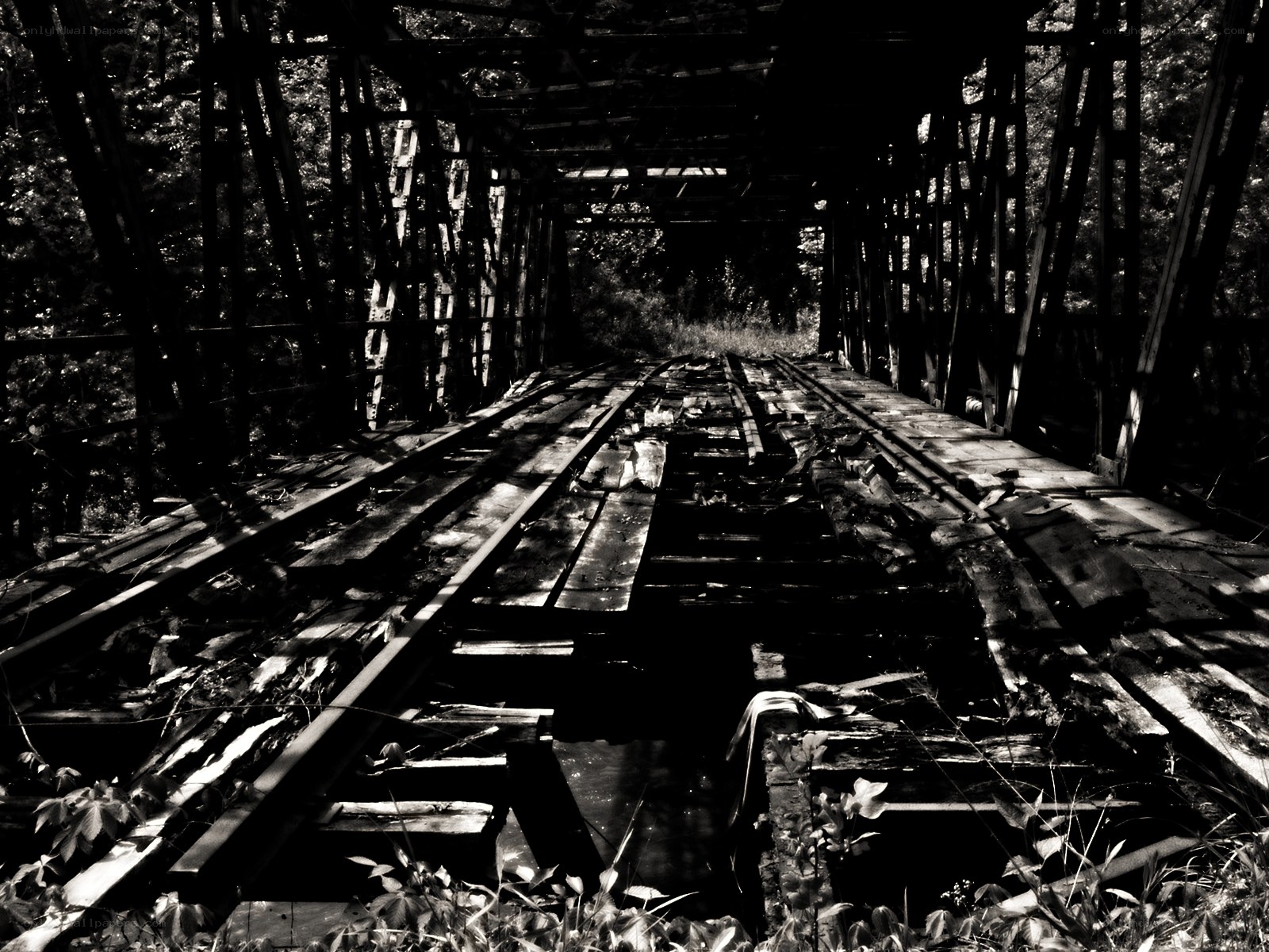 abandoned railway bridge
