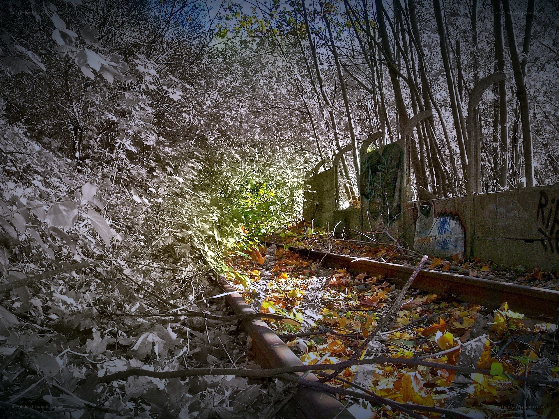 Abandoned railway in autumn forest