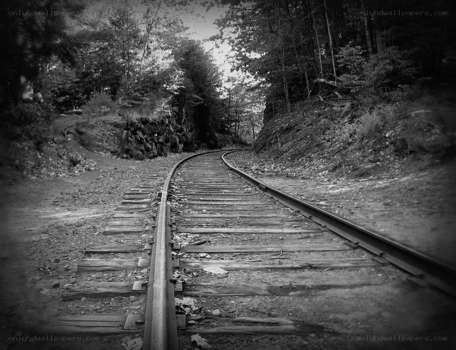 Abandoned railway in forest
