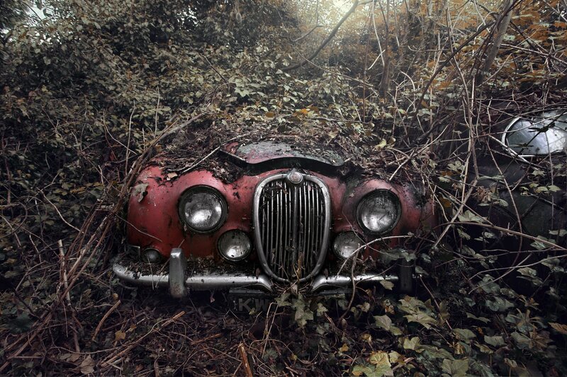 Abandoned Red Car — Overgrown