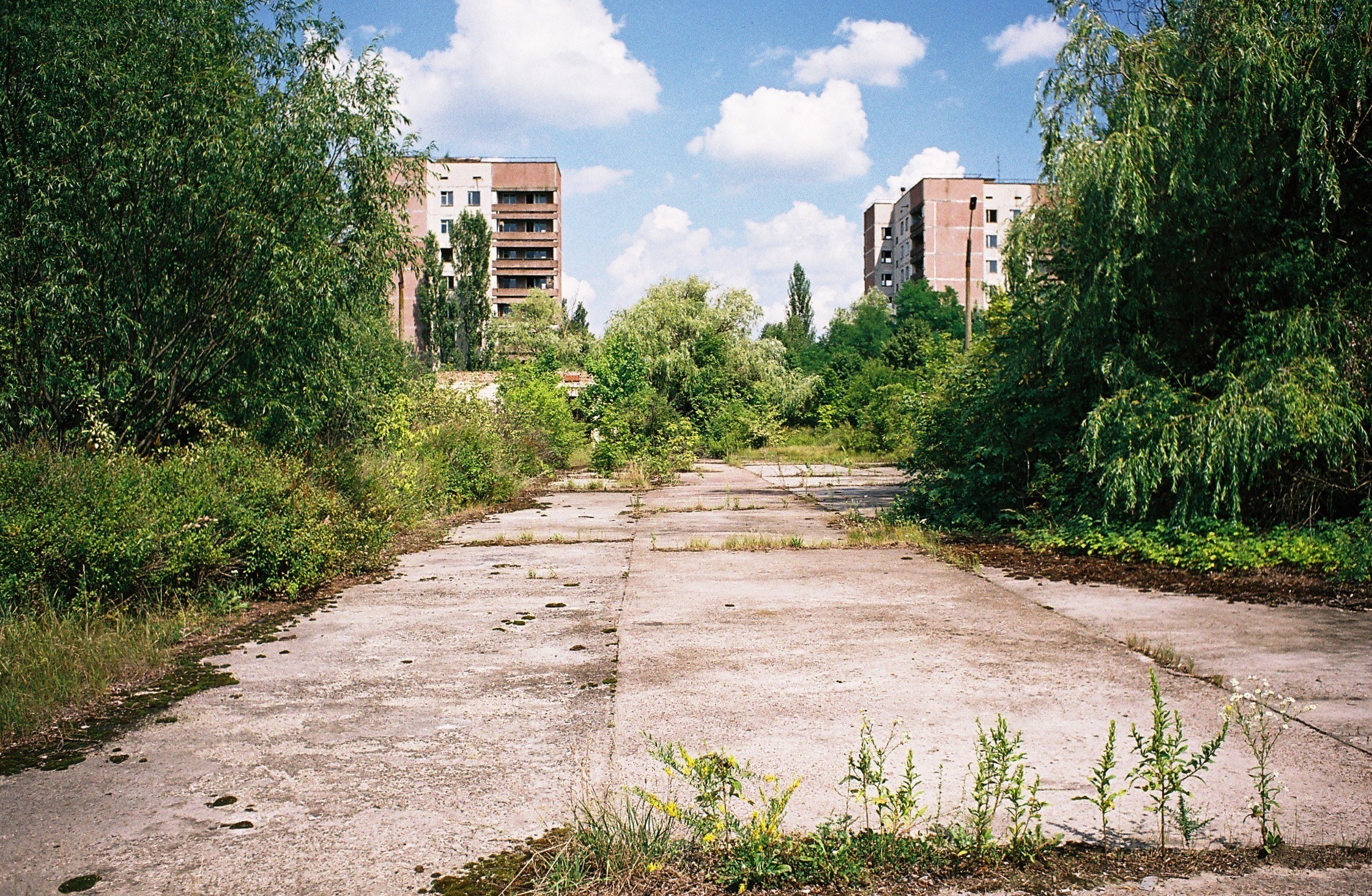Abandoned road in Chernobyl