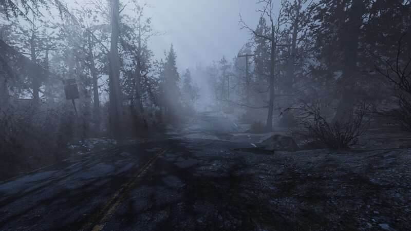 Abandoned Road in Forest