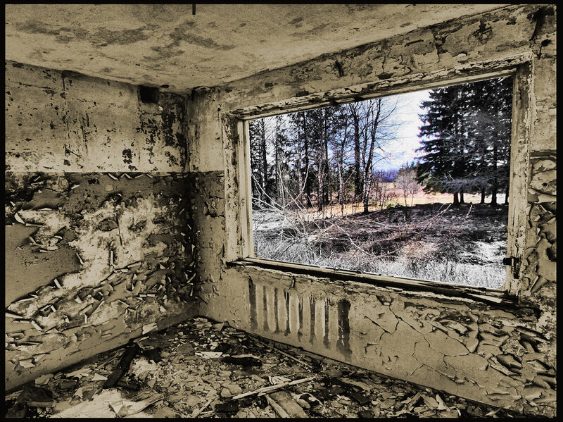 Abandoned room with forest view