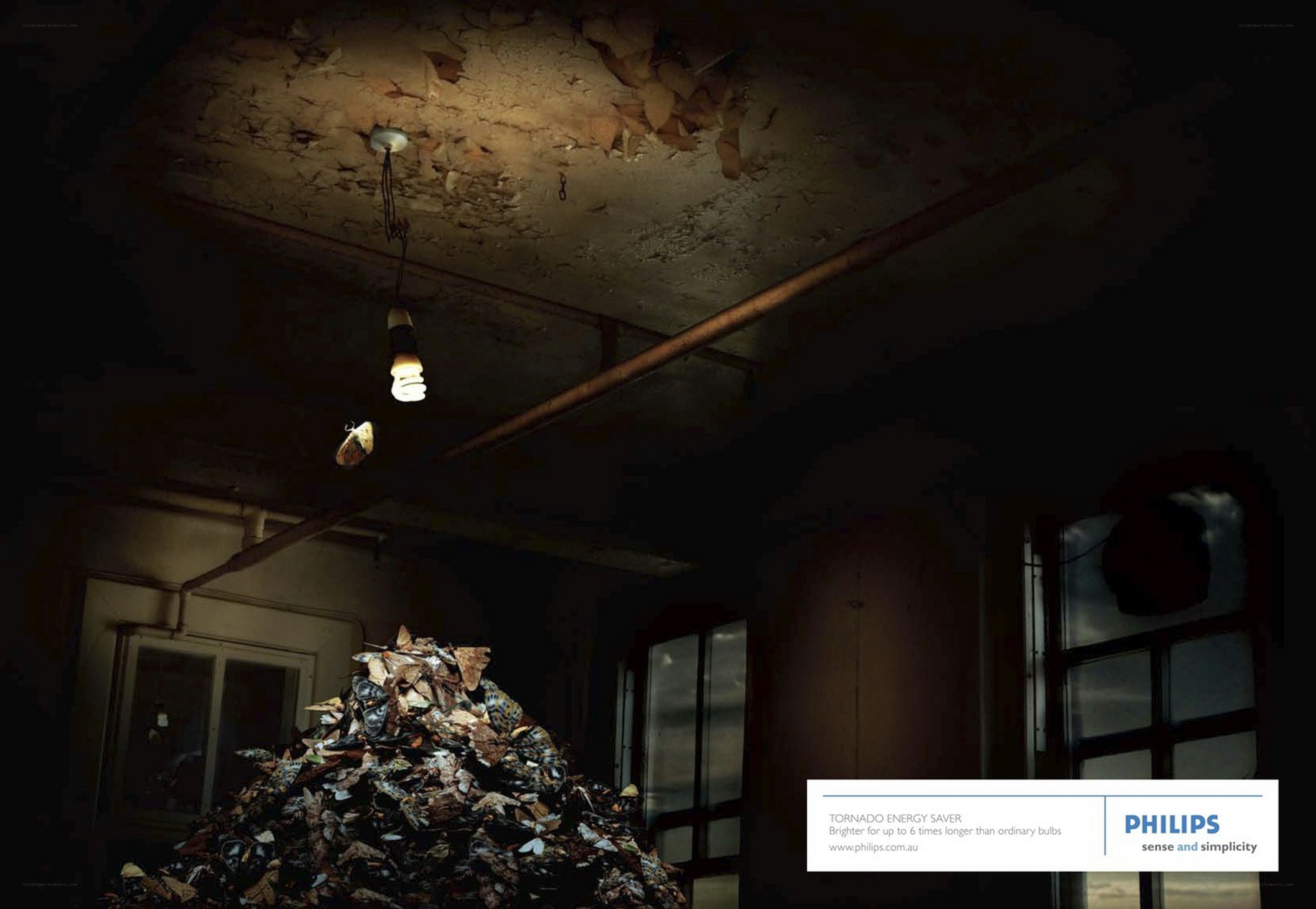 abandoned room with light bulb