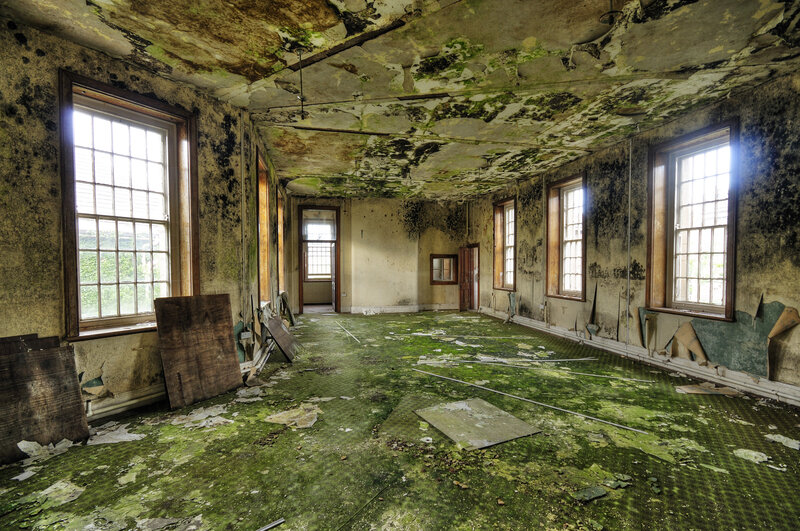 abandoned room with mold