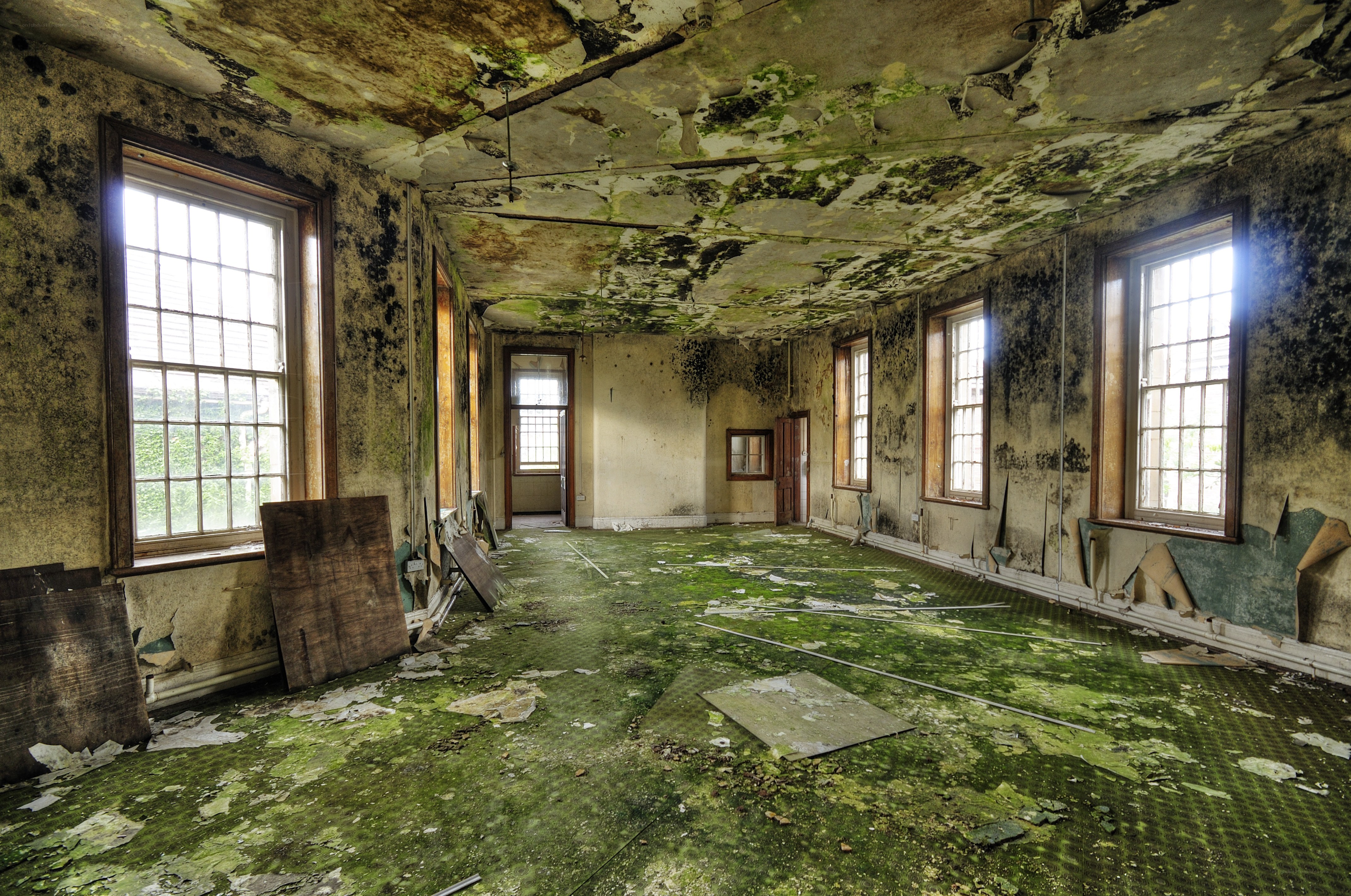 abandoned room with mold
